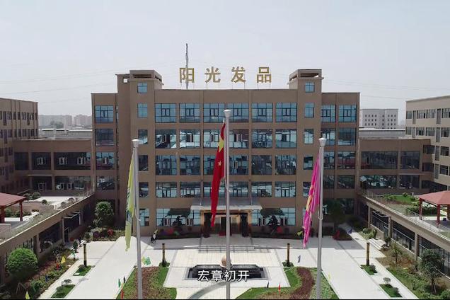 收购,加工,销售人发制品及动物毛发制品,工艺品;销售合成纺织材料及